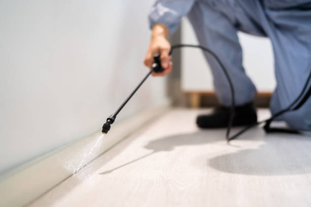 Licensed Cockroach Control service in Long Branch, VA - Nex Pest Control