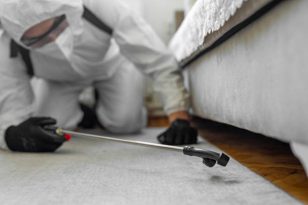Professional Cockroach Control technician working in Long Branch, VA