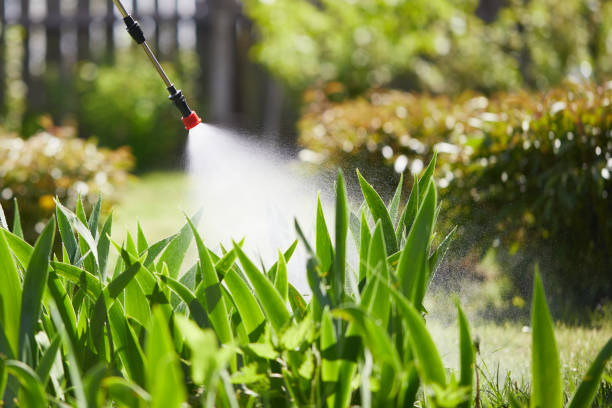 24/7 Emergency Cockroach Control experts in Long Branch, VA