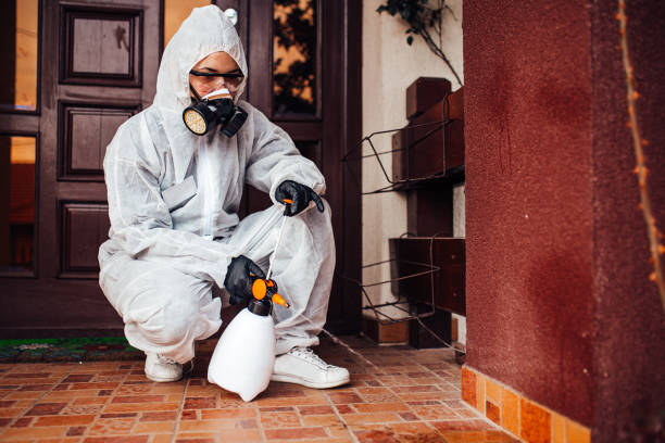 Reliable Cockroach Control contractor in Long Branch, VA by Nex Pest Control