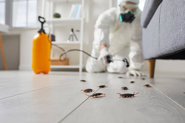 Trusted Termite Control service in Long Branch, VA - Nex Pest Control