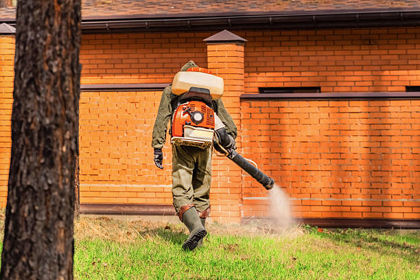 Trusted Bed Bug Control service in Long Branch, VA - Nex Pest Control